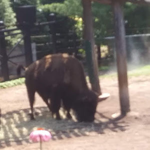 Meet your Posher, Tommy